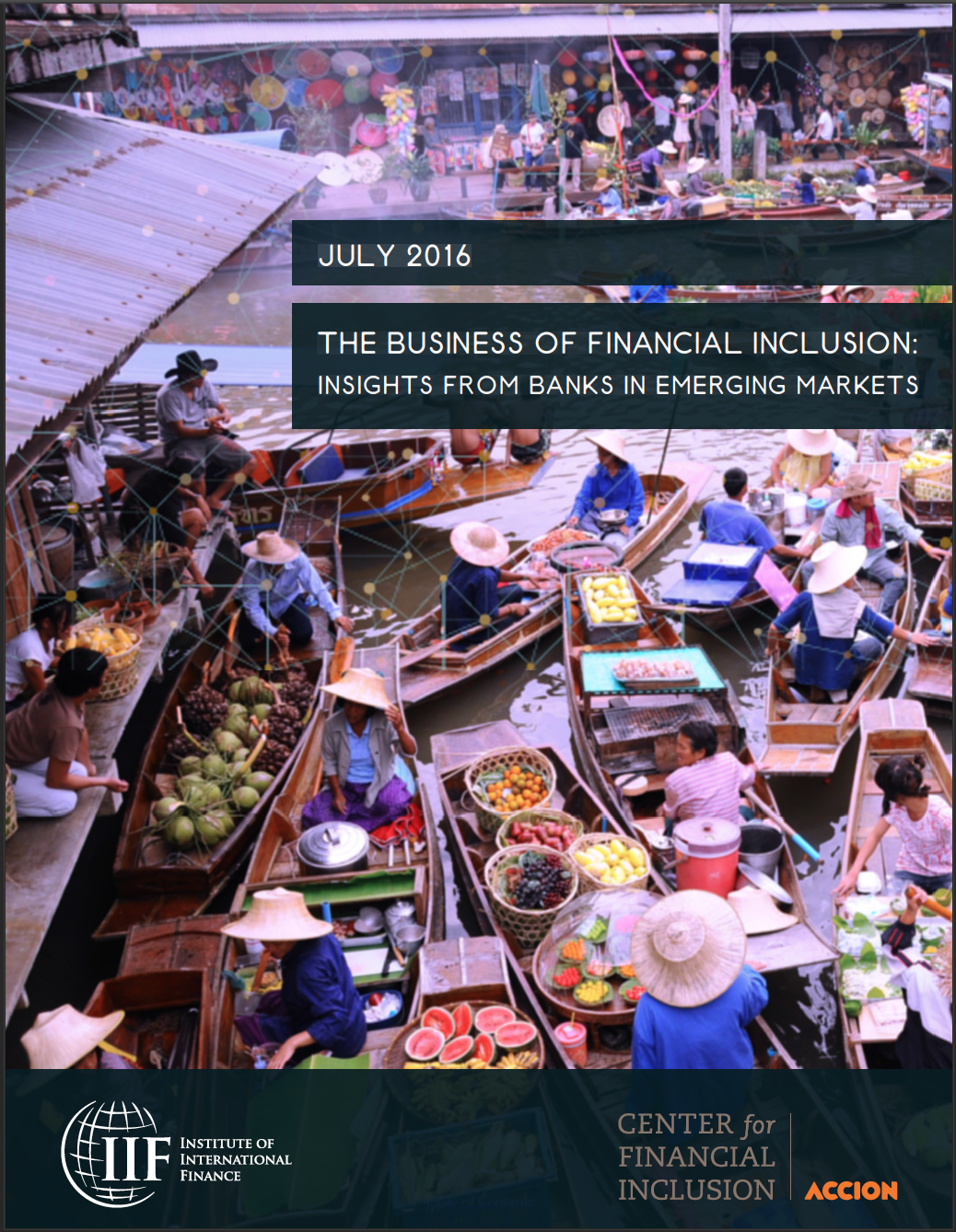 The Business of Financial Inclusion Cover