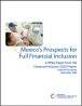 Mexicos_prospects_for_FI